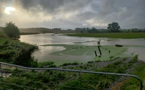 Paddocks with surface flooding in Te Reureu, Manawatū.
