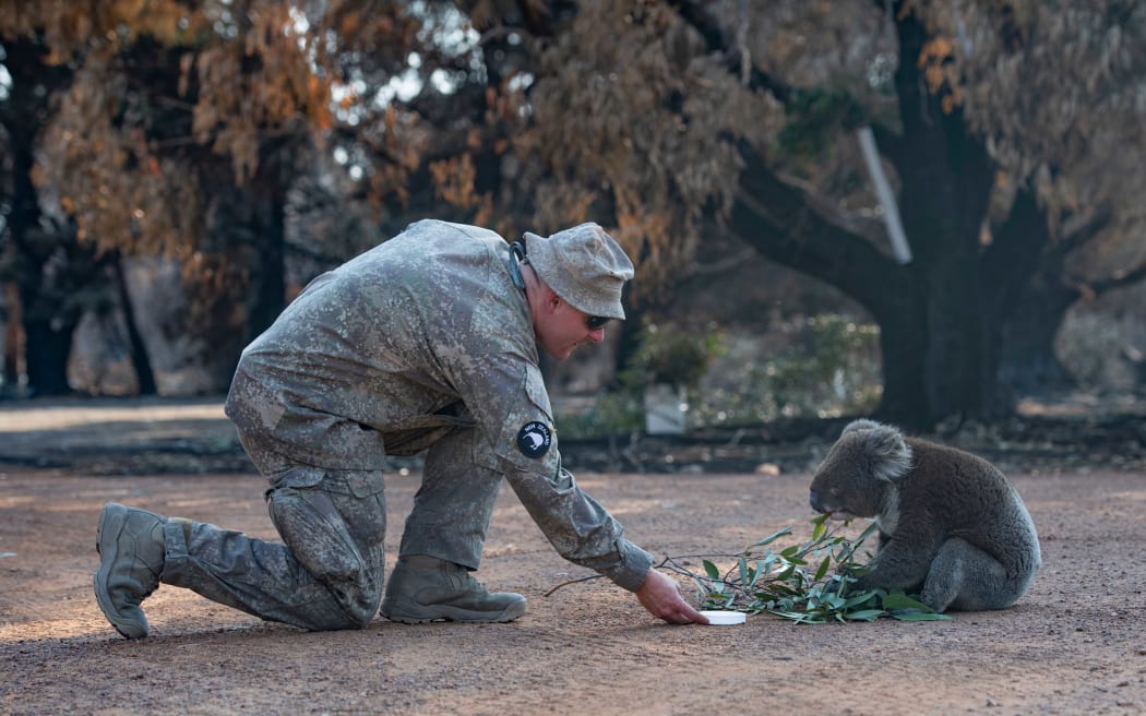 NZ Army's 2ER assist ADF personnel at Kangaroo Island's Hanson Bay Wildlife Reserve during the Australian Bushfires.