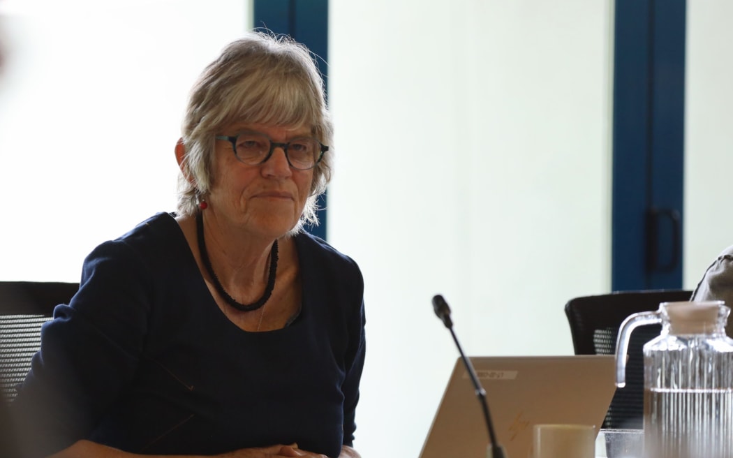Golden Bay councillor Celia Butler thought removing a councillor for the area would further minimise the voice of remote rural communities.