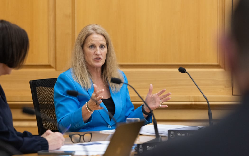 National Party MP, Louise Upston taking part in Parliament's triennial Standing Orders Review.