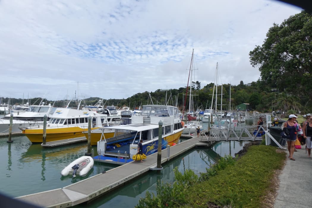 Dive boats at Tutukaka marina. A number of successful businesses have sprung up based on visitors to Poor Knights Islands.
