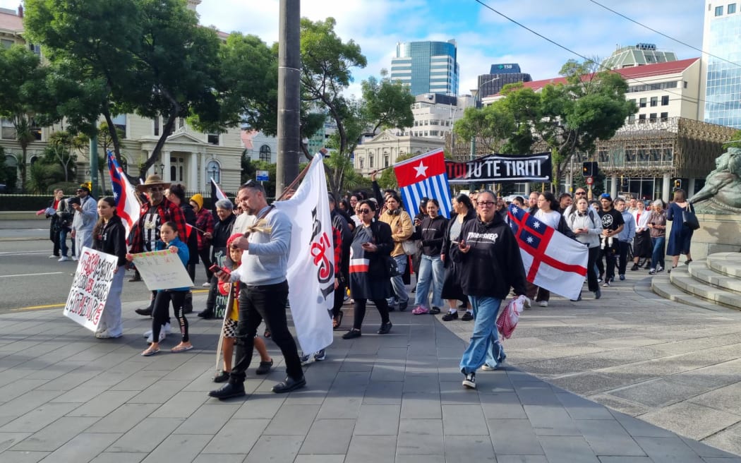 Marchers approach Parliament in Wellington, 5 December 2023. The first meeting of the newly-elected Parliament was taking place on Monday morning.