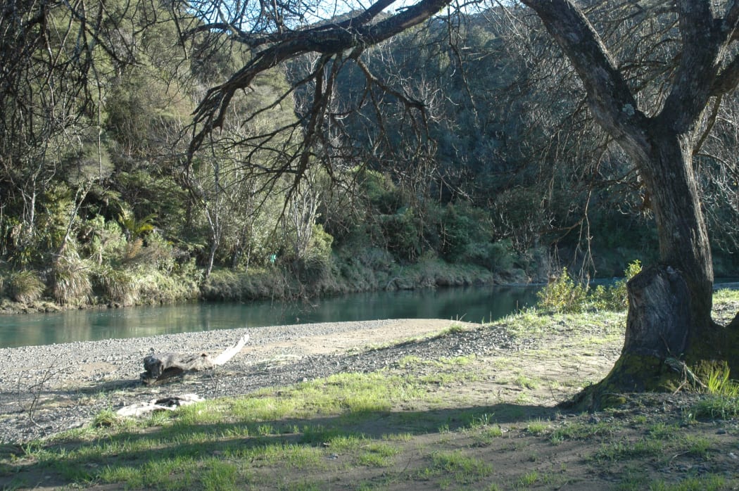 Waimana Gorge in Te Urewera