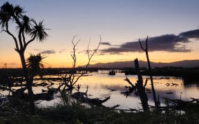 Boggy Pond, Lake Wairarapa