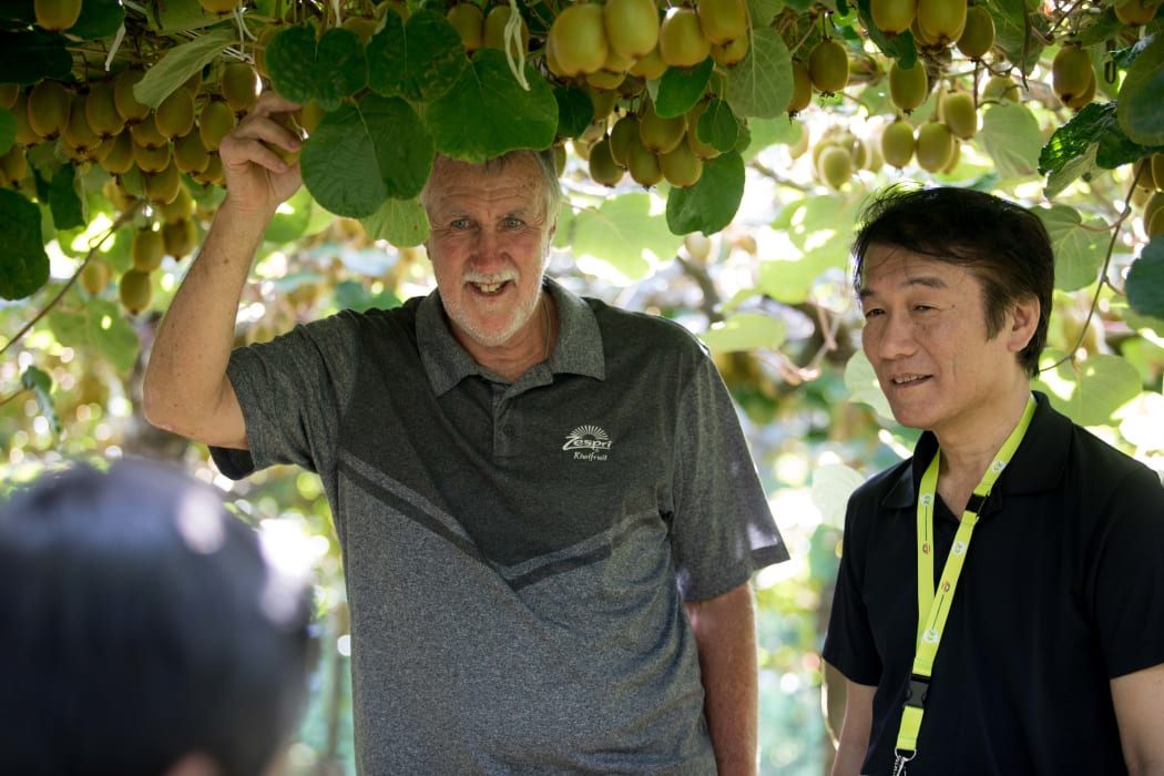 Jeff Roderick on his organic kiwifruit orchard in Te Puke