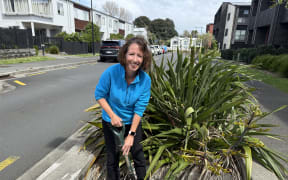 Sue Ira is an industry expert in water-sensitive design who is the director of consulting company Koru Environmental.