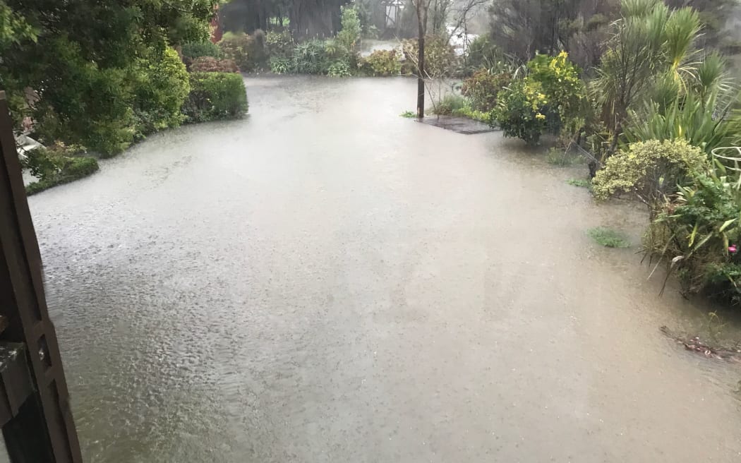 Rain in the Coromandel