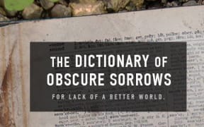 The Dictionary of Oscure Sorrows