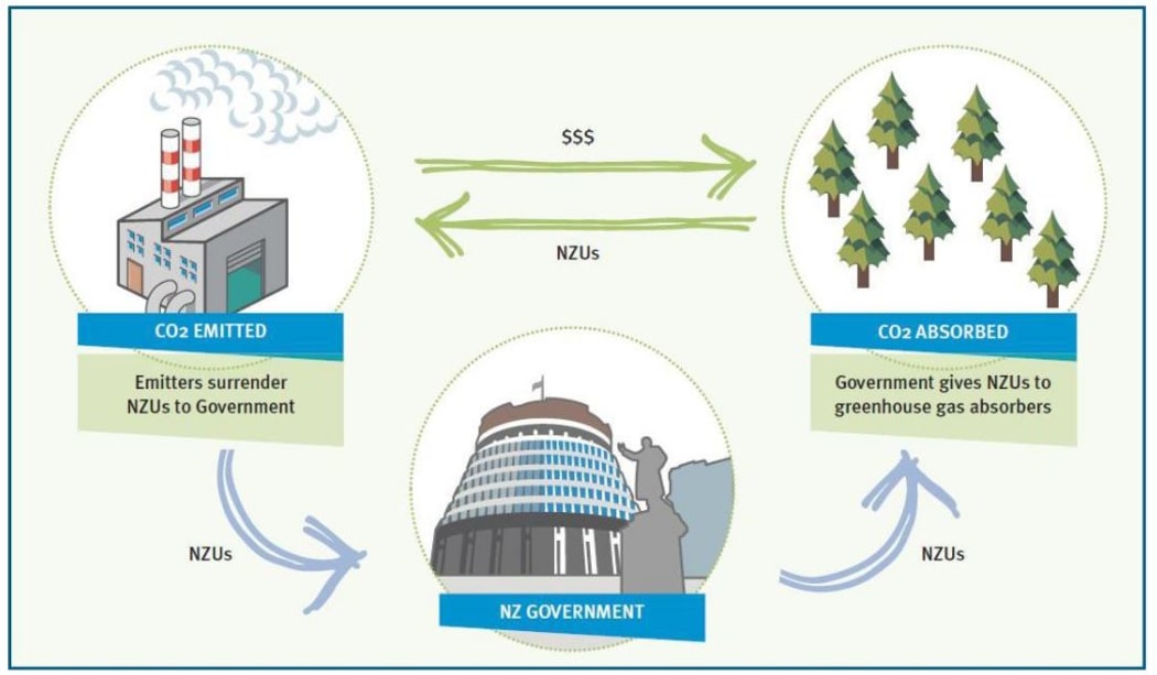 The basic concept of the NZ ETS (http://www.mfe.govt.nz/sites/default/files/media/Climate%20Change/nz-ets-review-discussion-document-november-2015.pdf)
