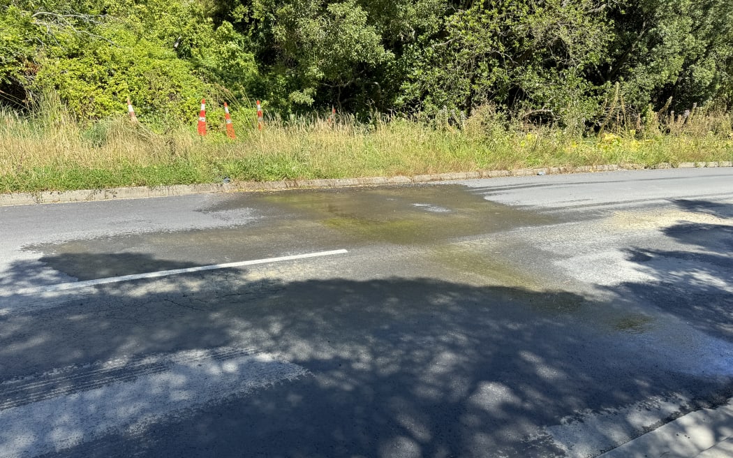 Water leak next to the Monorgan Road play area.