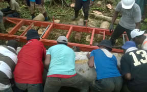 Nasau villagers rolling a giant log by hand onto the portable sawmill, Koro Island, Fiji