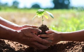 father and children help plant trees to help reduce global warming.