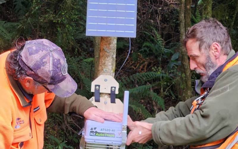 NZ innovators using artificial intelligence traps in conservation fight ...