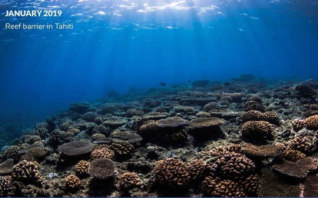 This picture, from January 2019, shows a healthy reef off the coast of Tahiti, French Polynesia.