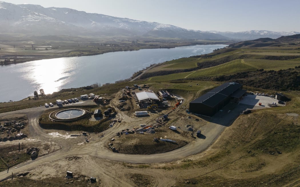 Scapegrace Distillery is expanding its operation on the banks of Lake Dunstan in Central Otago.