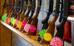 Rifles standing upright in rack with flouro price tags