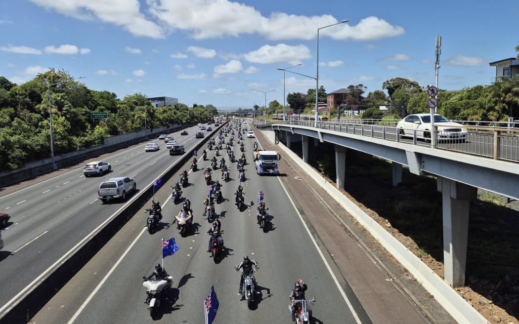 Make New Zealand Great Again protesters on State Highway 1, Auckland, 16 November 2024.