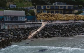 New stairs being installed for surfers at St Clair Beach in Dunedin.