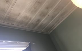 Black mould on the ceiling of a house.