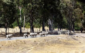 Blenheim has had below average rainfall every month since July last year.