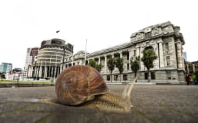 A snail slides across the forecourt