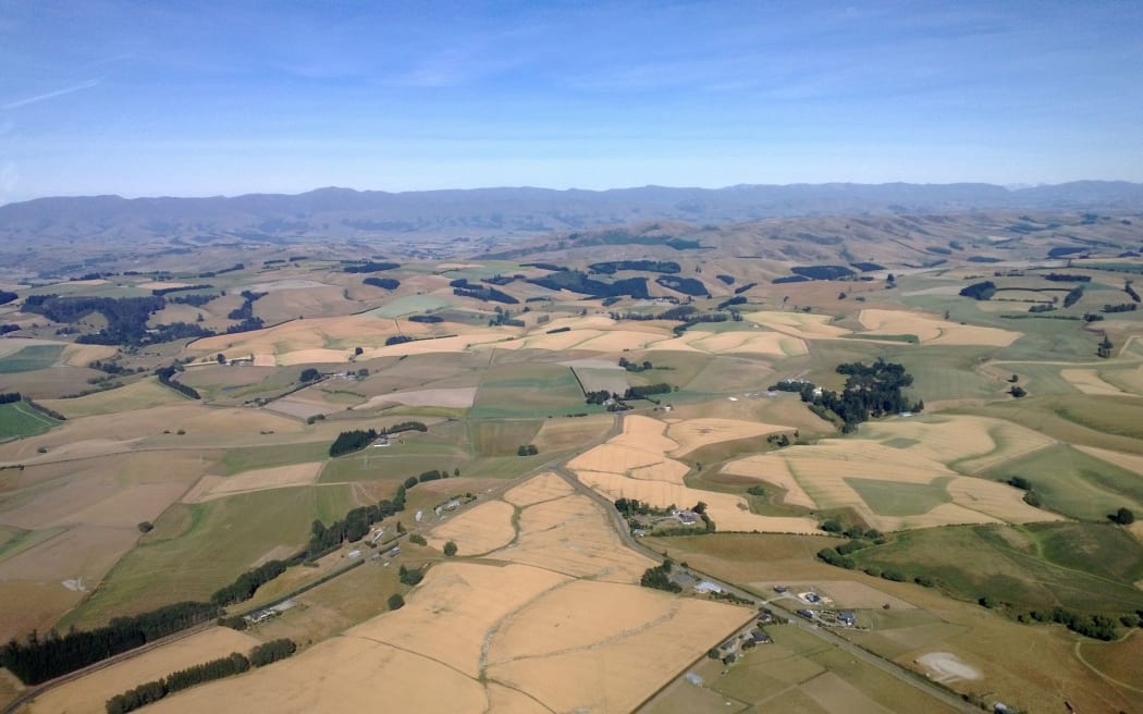 The impact of dry conditions on unirrigated land, south of Timaru.