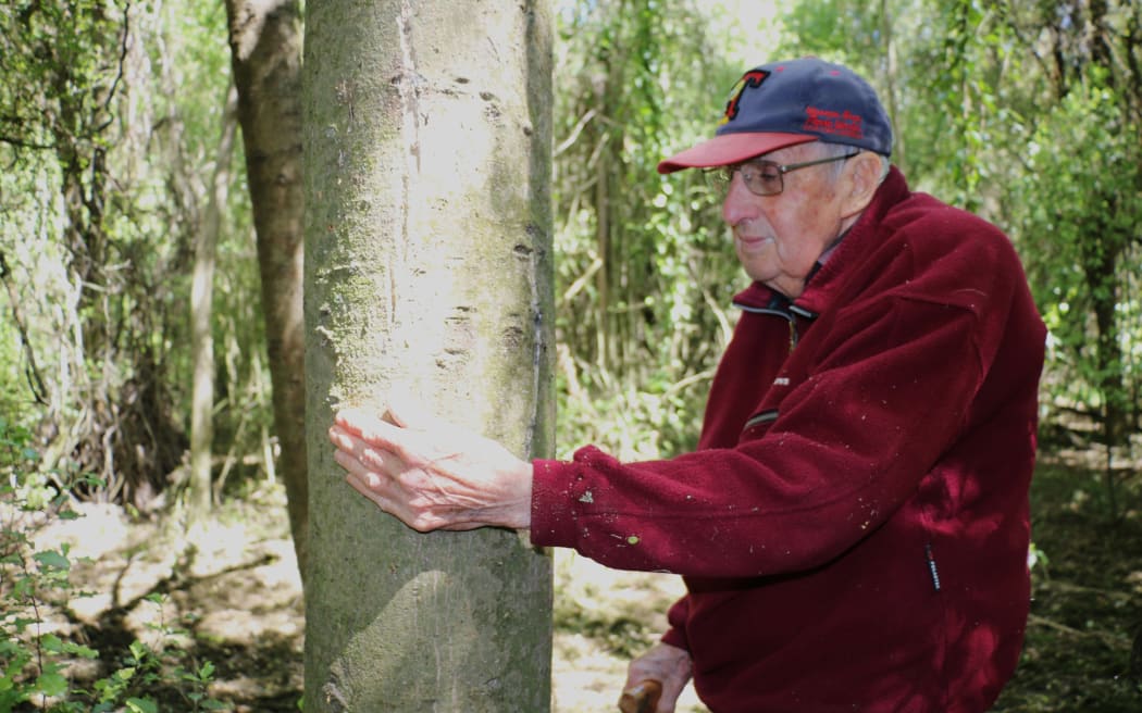 Arowhenua Bush restoration project