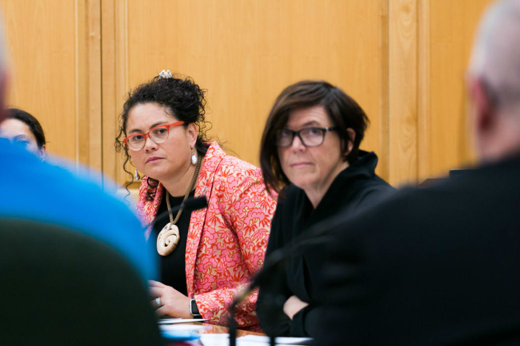 Labour MP Louisa Wall (left) and Green MP Jan Logie (right) listen to submissions on Jan Logie's Domestic Violence Victim's Protection Bill.