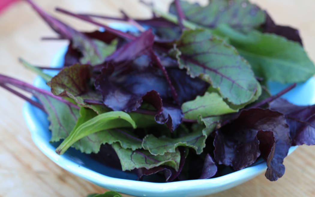 baby beet leaves