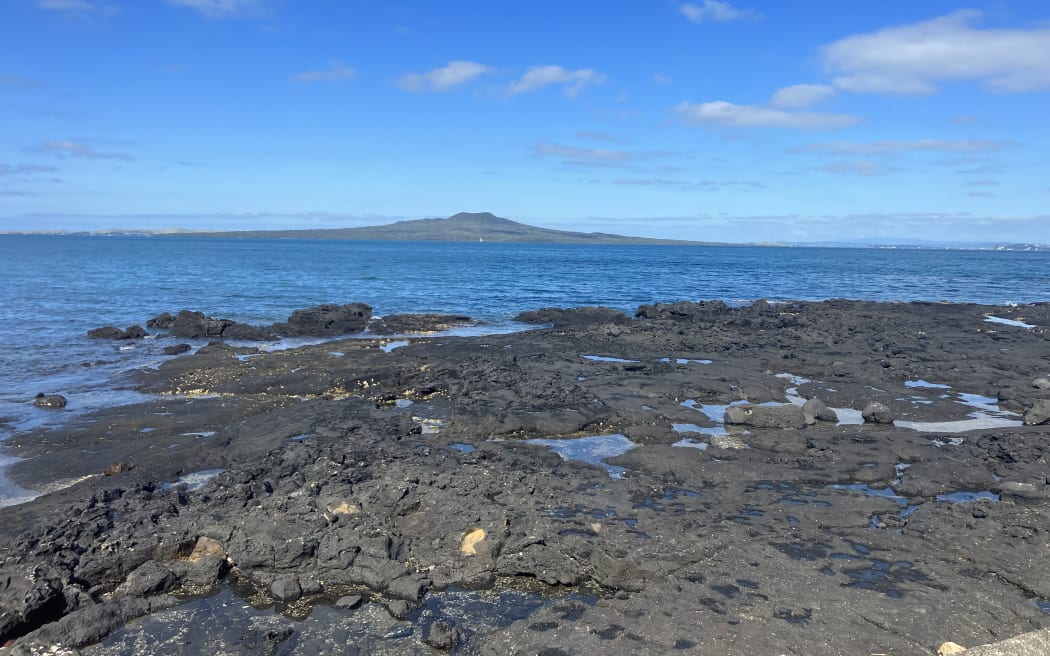 The rocky shore of a beach with blue water. In the distance is Rangitoto.