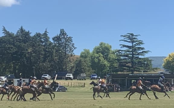 Polo match in full force