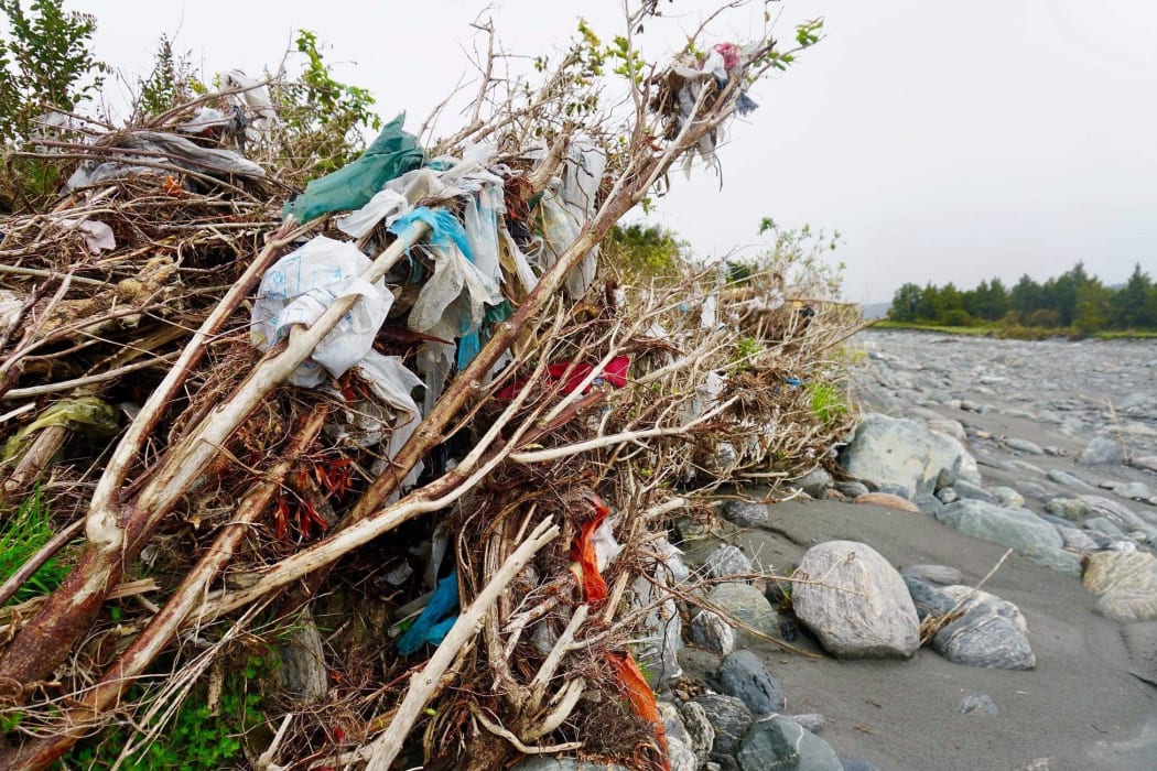 Rubbish wound around trees and grasses in the South Westland cleanup