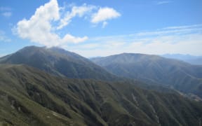 A view of Mt Peel from Little Mt Peel in Canterbury's Peel Forest Park Scenic Reserve.