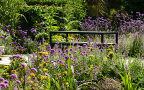 sunny garden