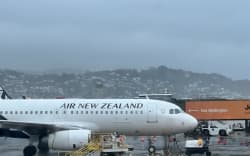 An Air New Zealand plane sits on the tarmac amid flight cancellations. Credit: RNZ / Sammy Carter