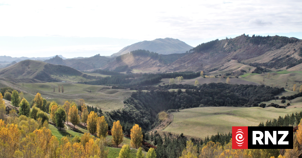 'It just makes sense' - one farm's sustainability story | RNZ