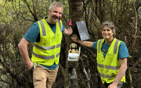 Two men in blue t-shirts and fluoro yellow hi-vis vests stand next to a smart trap attached to a tree.