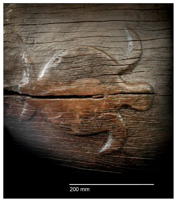 A turtle carved on the Anaweka waka, which is the oldest waka found in New Zealand.