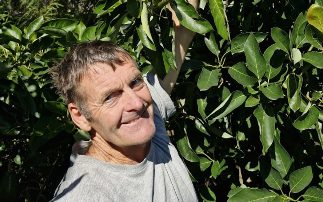 Harry Pearson is reaching up into the tree and grabbing an avocado. He is smiling towards the camera and wearing a grey tshirt.