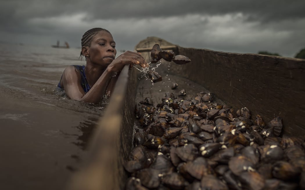 Una imagen de los Mangrove Photography Awards, organizados por Mangrove Action Project.