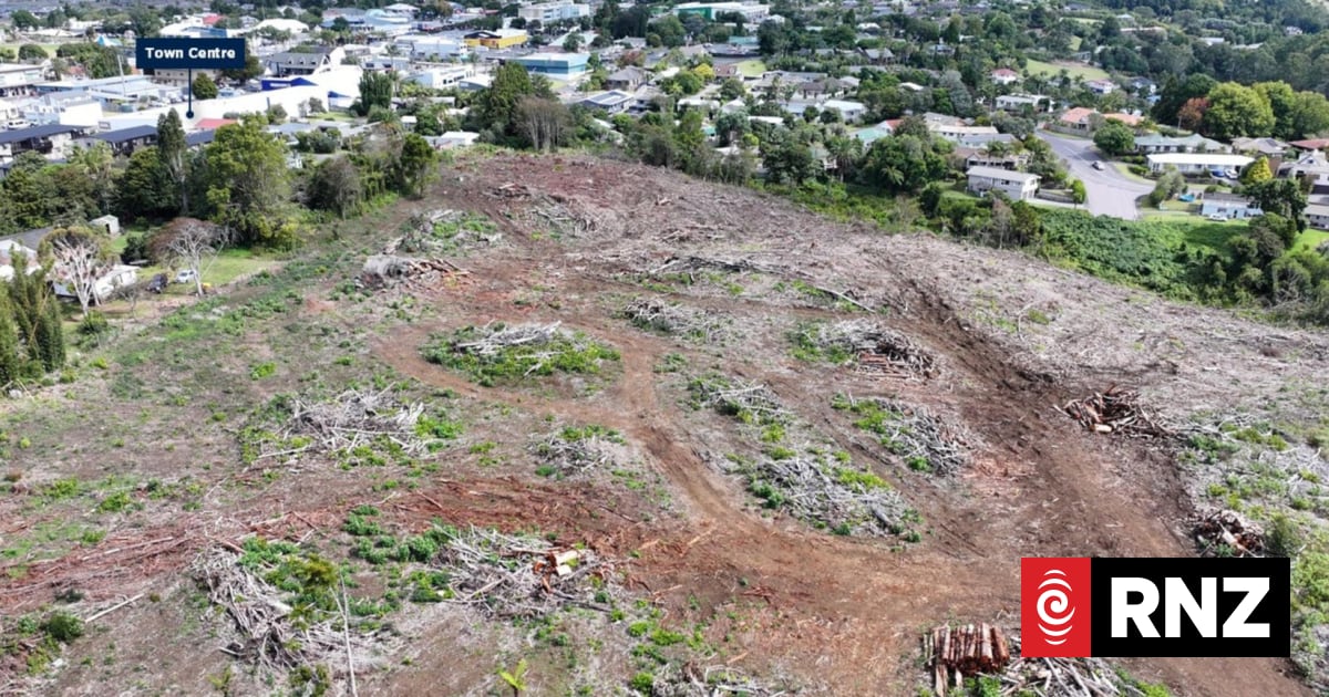 Developer felled trees, didn't build houses, now property is up for sale