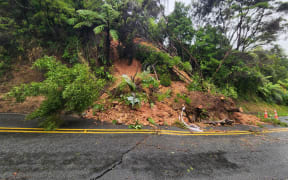 A sinkhole on Scenic Drive in West Auckland's Swanson has developed following wild weather in the region.