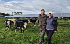 Nigel and Merrin Upchurch run Waitangi Farm, about 48-hectares in Waiuku, an hour south of Auckland.