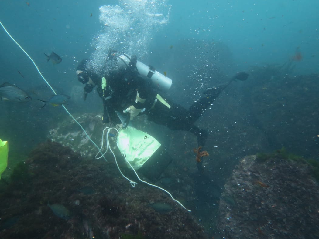 Science diver surveys the ocean floor.