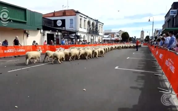 Rural games 'represent a rural way of life'