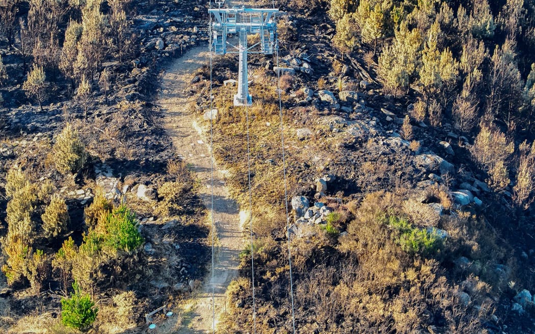 Christchurch Adventure Park, March 2024