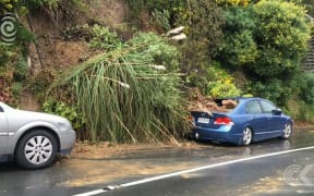 Slips crash into Wellington houses with a bang: RNZ Checkpoint