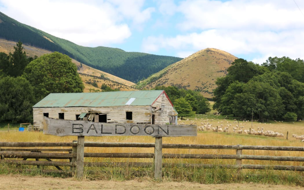 Malvern Lamb Sale