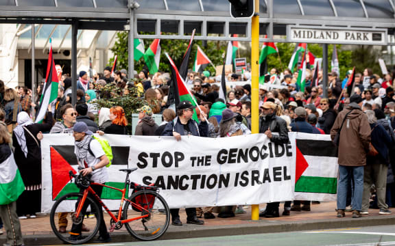 Wellington Gaza protest