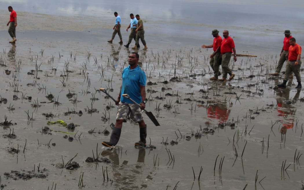 Fiji soldiers planting mangroves